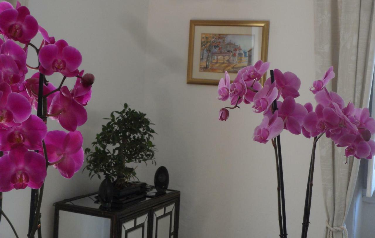 Casa Coimbra Hotel Екстериор снимка